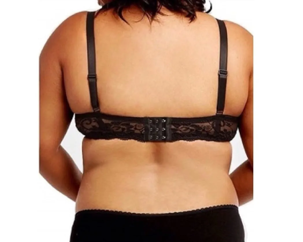 Lace & Scallop Bras & Wide Wing